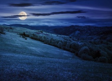 Gece Karpat Dağları 'ndaki çimenli çayır. Dolunay ışığında ormanlık tepeleri olan harika bir kır manzarası.