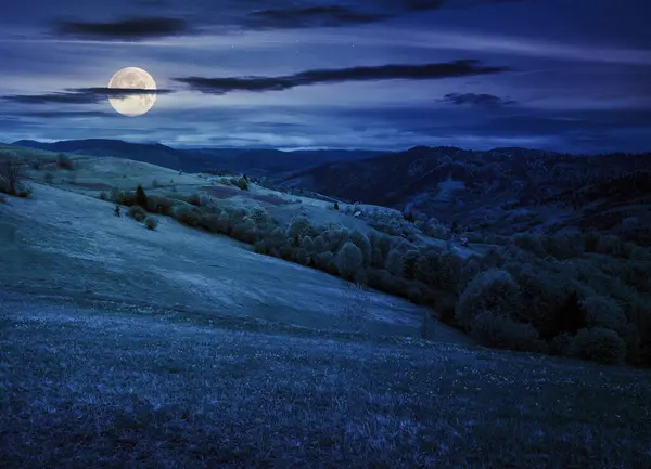 喀尔巴阡山脉的草甸 美丽的乡村风景 森林覆盖的山丘 满月的光芒 图库照片