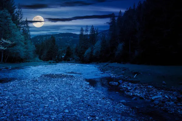 河流在夜晚流过喀尔巴阡山脉的山谷 浅水露出石头 全月光照下的乌克兰国家公园 免版税图库照片
