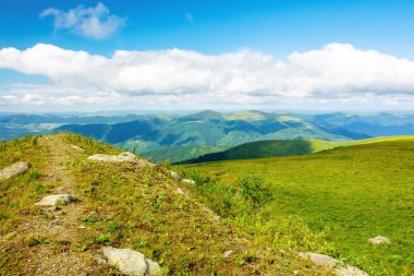 Yeşil Alp tepeleri ve çayırlar boyunca şerit. Yazın dağlık Karpatya manzarası. Ukrayna yeşil dağlarının doğa manzarası 