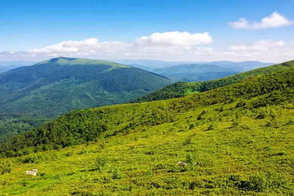 Rolling Grassy Hills Carpathian Landscape Ukraine Sunny Summer Day Mountainous Royalty Free Stock Images