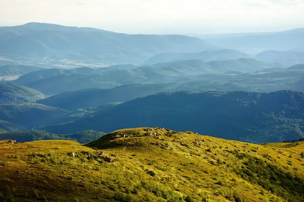 喀尔巴阡山 俯瞰图利亚河流域 夏季红豆杉 红豆杉的山地风景景观 图库图片