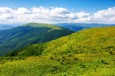 Akşam ışığında Karpat Dağları 'nın hareketli manzarası. Transcarpathia 'nın dağlık manzarası, yazın Ukrayna. Pürüzsüz ya da sade yamaçtan manzara.