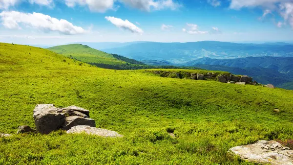 喀尔巴阡山脉高山草甸 蓝天白云下绿草的风景 在乌克兰山区的暑假 免版税图库照片