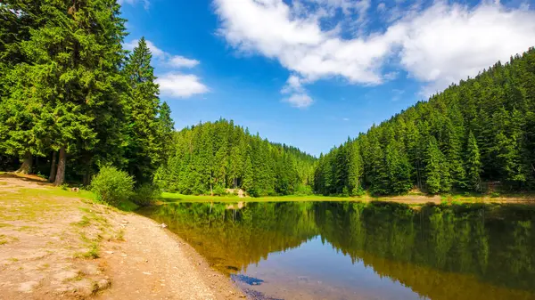 朝の光の中のシネヴィル湖の風景 カルパティア山脈の美しい夏の風景 水面に映る青空の下に緑豊かな森がある国立公園の緑の環境 ストック写真