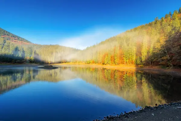 湖のあるシネヴィル国立公園の秋の風景 晴れた朝 青い空と霧が水面の上に カルパティア山脈 ウクライナの素晴らしい旅行先 ロイヤリティフリーのストック写真