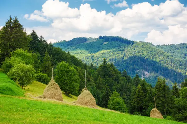 夏のウクライナのトランスカルパシアの農村風景 草原の丘のハイスタック 晴れた日には山岳のカルパティア風景と雲が空に浮かぶ ストックフォト