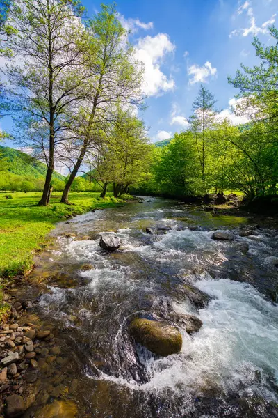 カルパティア山の谷を流れる浅い水流 春にふわふわした雲の青い朝の空の下に緑の葉を持つ川岸の木 ストック画像