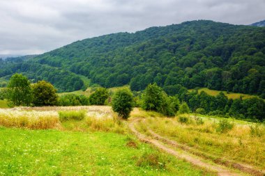 Ukrayna 'nın karpatlar kırsalında bulutlu bir yaz gününde. Dağlardaki terk edilmiş kırsal alanlarda ağaçlar. # Toprak yol tepeden aşağı sarkıyor #