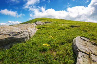 Pürüzsüz poloninanın çimenli yamaçlarındaki kayalar da runa olarak adlandırılır. Yazın güneşli bir günde Ukrayna 'nın Karpatya doğası