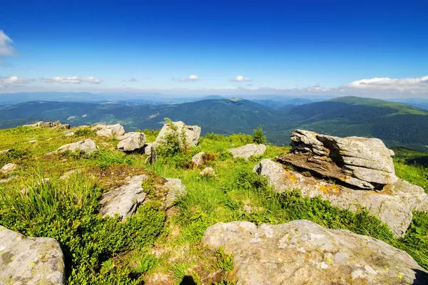 Steine Gras Auf Glatter Polonina Alpine Landschaft Der Ural Karpaten lizenzfreie Stockbilder