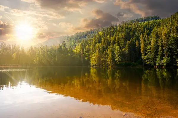 Nyugodt Táj Tavacskával Nyáron Naplementekor Erdő Tükröződik Nyugodt Vízben Gyönyörű Stock Kép