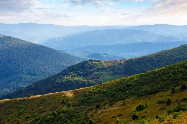 yuvarlanan çimenli tepeler. Güneşli bir yaz sabahında Ukrayna 'nın karpatya manzarası. Uzaklarda güzel manzaralı, dağlık bir manzara.
