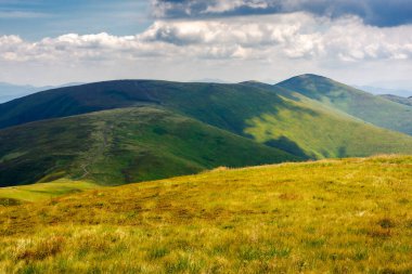 Karpatya dağ sırtı borzhava 'nın dağlık çayırları benekli ışıkta. Yazın bulutlu gökyüzünün altında çimenli yuvarlanan tepeler. Ukrayna manzarasının güzelliğini doldurmak için popüler seyahat yerleri