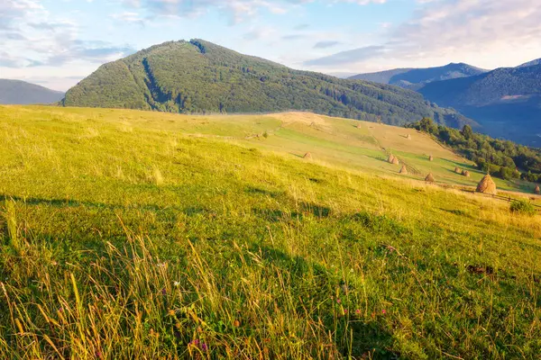 Carpathian Rural Area Volovets District Rolling Hills Sunny Morning Summer Rechtenvrije Stockfoto's