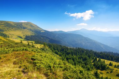 Karpat Dağları 'nın kornohora sırtı yazın. Dik orman yamaçları. Parlak güneşli hava. Ukrayna 'nın popüler seyahat yeri. Petros ve hoverla tepeleri uzakta