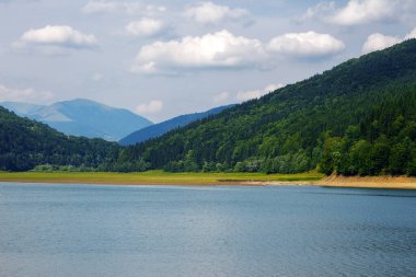Ukrayna 'nın dağlık kırsal kesimindeki Rika Nehri' nde su rezervi. Yazın başları bulutlu bir günde doğa manzarası