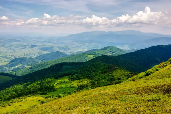 Paisagem Carpathian Montanhosa Ucraniano Verão Vista Montanha Pikui Borzhava Cume Imagem De Stock