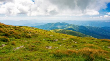 Dağlık otlaklarla kaplı doğa manzarası. Benekli ışıktaki petroller. Yazın Ukrayna 'nın Karpatlar' daki dağ manzarası. Transcarpathia 'nın popüler seyahat hedefi