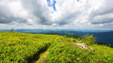 Yaz dağı manzarası. Çimenli çayırların arasında tepeden aşağı doğru yol al. Yazın bulutlu bir günde Ukrayna 'nın güzel Karpatya manzarası