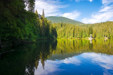 Yazın Karpat Dağları 'nın Buzul Gölü. Güneşli bir sabahta sinevyr milli parkının doğa manzarası. Ladin ormanı sakin sulara yansıyor. Ukrayna 'nın popüler seyahat hedefi