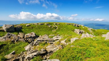 Karpat Dağları Ukrayna 'nın çimenli tepelerindeki taşlar. Yazın güneşli güzel bir hava.