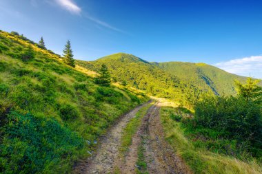 Köy yolu yokuş yukarı. Sabah ışığında Karpat Dağları 'nın güzel manzarası. Yazın Ukrayna 'nın kornohora sırtı. popüler seyahat hedefi