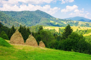 Çimenli bir tepedeki saman yığınları. Ukrayna 'nın dağlık kırsal kesiminin geleneksel manzarası. Sakin güneşli bir öğleden sonra Bulutlar gökyüzünde
