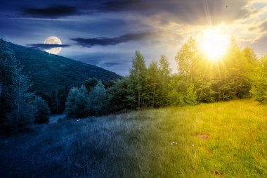 scenery with trees on the hill in summer solstice. beautiful mountain landscape with sun and moon at twilight. day and night time change concept