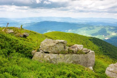 boulder on the grassy alpine slope. carpathian mountains in summer on a cloudy day