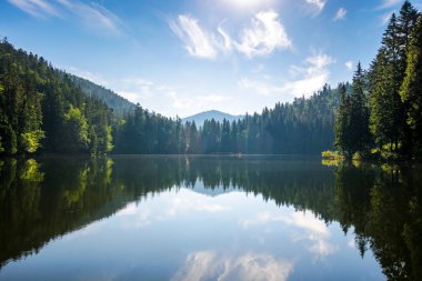 scenery with alpine lake synevyr of carpathian mountains in morning light. summer landscape with coniferous forest reflecting in the water. popular travel destination of transcarpathia, ukraine 