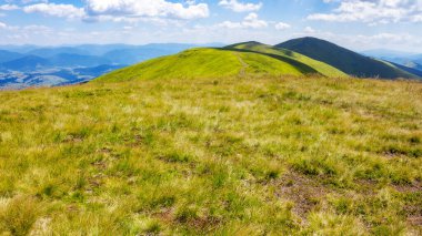 Çimenli Alp çayır manzarası. Borzhava Tepesi 'nin güzel Karpatya dağ manzarası. Yazın güneşli bir günde Ukrayna 'nın popüler seyahat beldesi