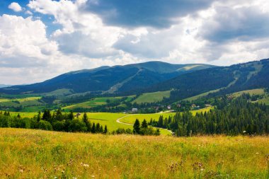 Ukrayna 'nın Karpat Dağları' ndaki kırsal alan. Alp kırsalının çimenli çayırları ve yazın ormanlık tepeleri olan manzarası. Güneşli bir günde Borzhava sırtı yakınlarındaki vadinin güzel manzarası
