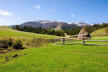 İlkbaharda Karpatya kırsal arazisi. Çimenli tepenin üzerindeki ahşap çitin arkasındaki saman yığını.