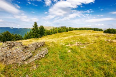Yazın Karpat Dağları 'nın çimenli dağlık çayırında taşlar ve kozalaklı ormanlar. Uzakta Ukrayna 'nın svydovets sırtı akşam ışığında mavi gökyüzünde dinamik bulutlar altında