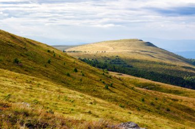Alp otlu tepeler. Bulutlu bir yaz sabahında Ukrayna 'nın karpatya manzarası. Güzel manzaralı, bulutlu gökyüzü olan dağlık bir manzara. harika açık hava maceraları