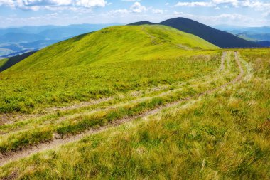 Yeşil çayırların arasından geçen yol. Yazın Karpatlar 'ın dağ manzarası. Güneşli bir günde Ukrayna dağlarının alp manzarası. Borzhava sırtına tırmanmak. popüler seyahat hedefi