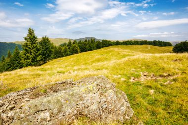 Yazın tepedeki dağlık çayır ve orman. Güneşli bir öğleden sonra Ukrayna 'nın dağ manzarası. Carpathian svydovets sırtı gökyüzünün altında akşam ışığında bulutlarla