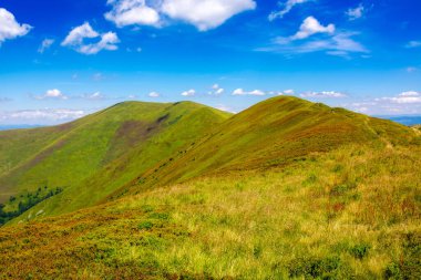 Güneşli bir günde, Karpat dağ sırtı borzhava 'nın yeşil dağlık çayırları. Yazın mavi gökyüzünün altında çimenli yuvarlanan tepeler. Ukrayna manzarasının güzelliğini doldurmak için popüler seyahat yerleri