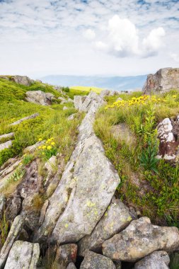 Yazın güzel dağlık bir manzara. Kaya arasında sarı karahindibalar. Ukrayna 'nın dağlarında bulutlu bir günde açık hava maceraları