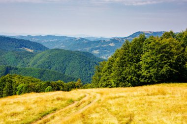 Transcarpathia 'nın hareketli manzarası, yazın sonlarında Ukrayna. Parlak gün ışığında ormanlık tepeleri olan Karpat dağlarının doğal manzarası. Çimenli çayırlarda yolu daralt