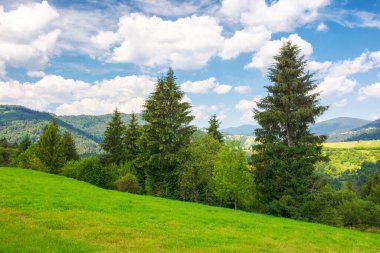 Tepeleri ve çayırları olan doğal bir manzara. Uzakta kırsal vadi var. Yazın güneşli bir öğleden sonra. Ukraynalı karpatların güzel kırsal manzarası bulutlu bir gökyüzünün altında sönük bir ışık altında