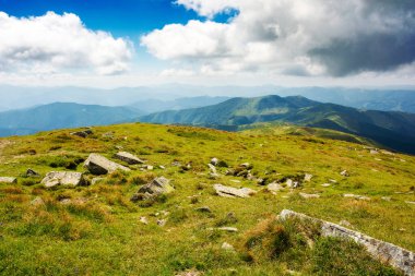 Dağlık arazi, dağlık çayırlık dağlarla kaplı. Benekli ışıktaki petroller. Yazın Ukrayna 'nın Karpatlar' daki dağ manzarası. Transcarpathia 'nın popüler seyahat hedefi