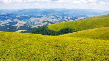 Yazın Ukrayna Karpat Dağları manzarası. Mlnt 'in çimli yamacında. Güneşli bir günde hymba. Popüler seyahat merkezi. Transcarpathia 'nın güzel doğası. Alp dağları