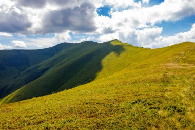 Manzaralı Karpat Dağları ve Stoj Zirvesi. Güneşli bir yaz gününde Borzhava Tepesi 'nin çimenli yamaçlarının manzarası. Transcarpathia 'nın popüler seyahat yeri. Ukrayna manzarası
