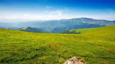 Yazın Ukrayna 'nın karpatya doğası. Güneşli bir günde alp çayırı ve yamaçta. Borzhava Tepesi 'nin uzak Stoj Dağı. Transcarpathia 'nın popüler seyahat hedefi