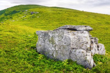 Karpat Dağları 'nın yaz mevsiminde alp manzarası. Çimenli tepedeki taşlar ve kayalar. Trancarpathia dağının yeşil manzarası bulutlu gökyüzünün altında pürüzsüz. Ukrayna 'ya seyahat