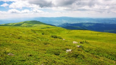 Yazın Ukrayna 'nın Karpat Dağları manzarası. Yeşil dağlık arazi manzarası. Güneşli bir günde çimenli tepeler ve çayırlar pürüzsüz. manzaralı yerel tatil beldesi