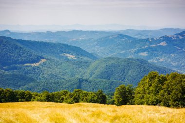 Yazın sonlarında Karpat Dağları 'nın hareketli manzarası. Transcarpathia 'nın doğal manzarası, güneşli bir günde ormanlık tepeleri olan Ukrayna. Uzaktaki vadiye çarpıcı bir manzara