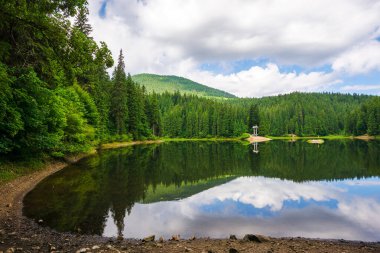 Karpat Dağları 'nın Synevyr Gölü' nün sabah güneşiyle dağlık bir manzara. Kozalaklı ormanlı yaz manzarası ve sakin sulara yansıyan bulutlu gökyüzü. Ukrayna 'nın popüler seyahat hedefi